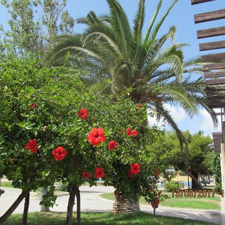 Hacienda Bellamar Apartamento San Pedro del Pinatar Exterior foto
